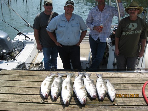 Nice Striped Bass